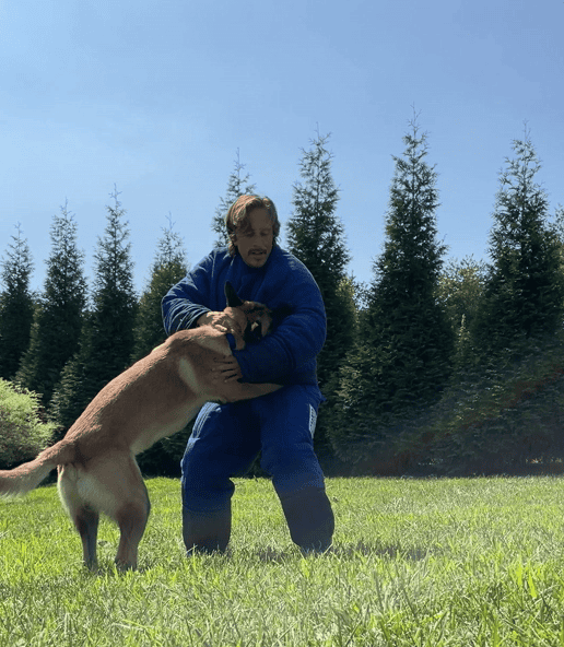 k9 evolutions dog training ring sport