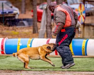 Read more about the article All You Need To Know About Mondio Ring