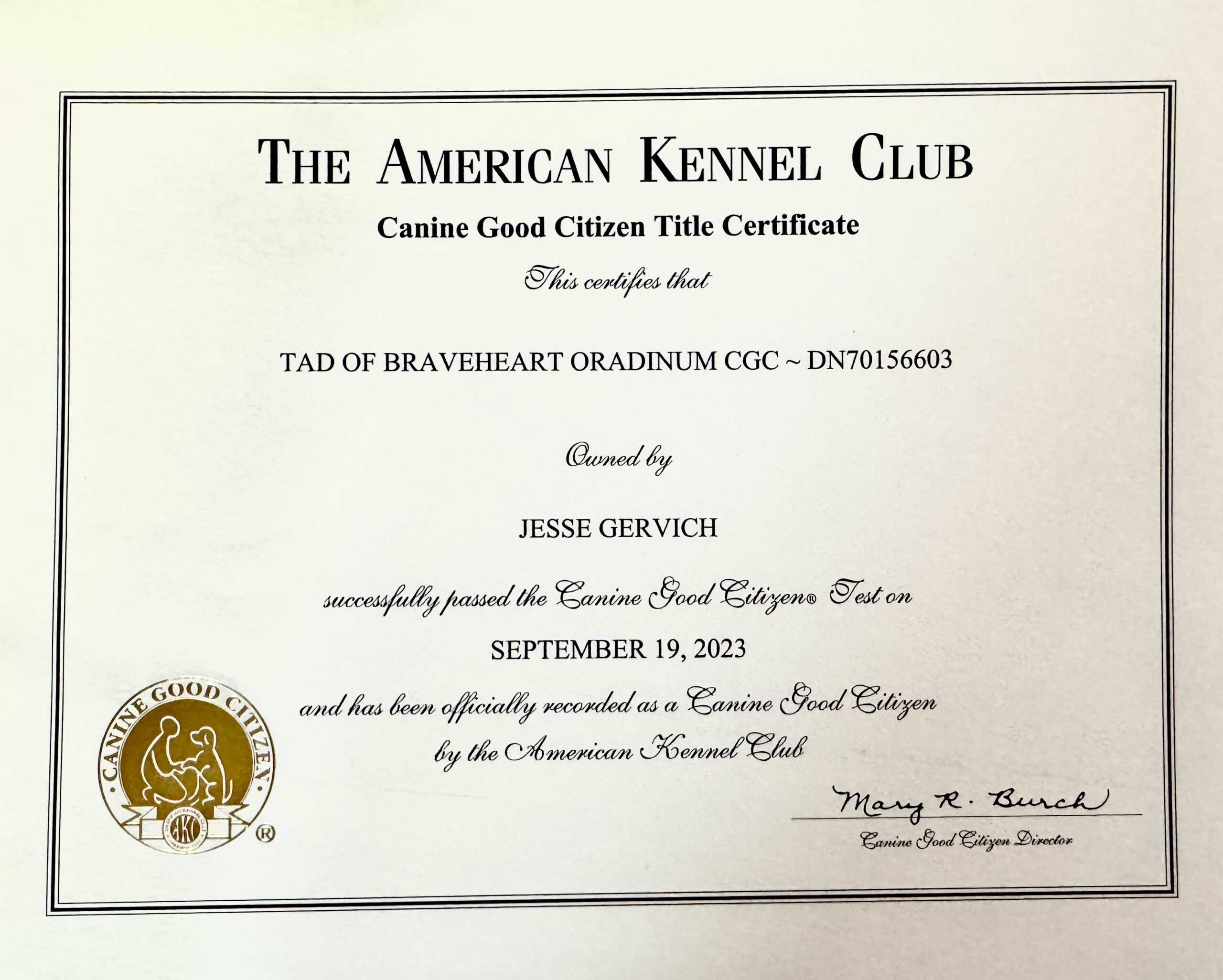 jesse gervich akc cgc certificate