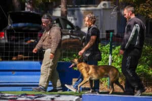 Read more about the article Mondio Ring vs. Schutzhund