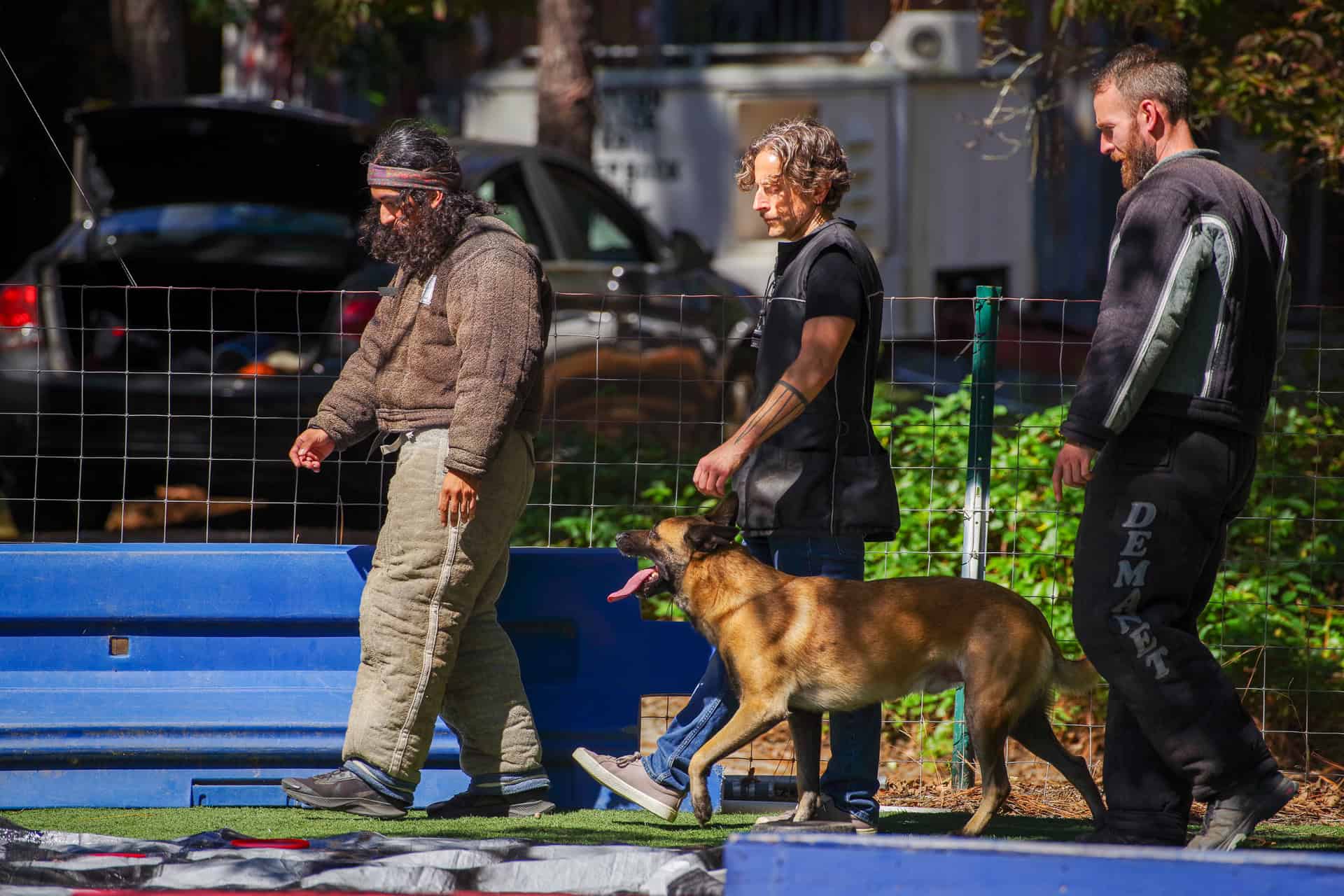 Read more about the article Mondio Ring vs. Schutzhund