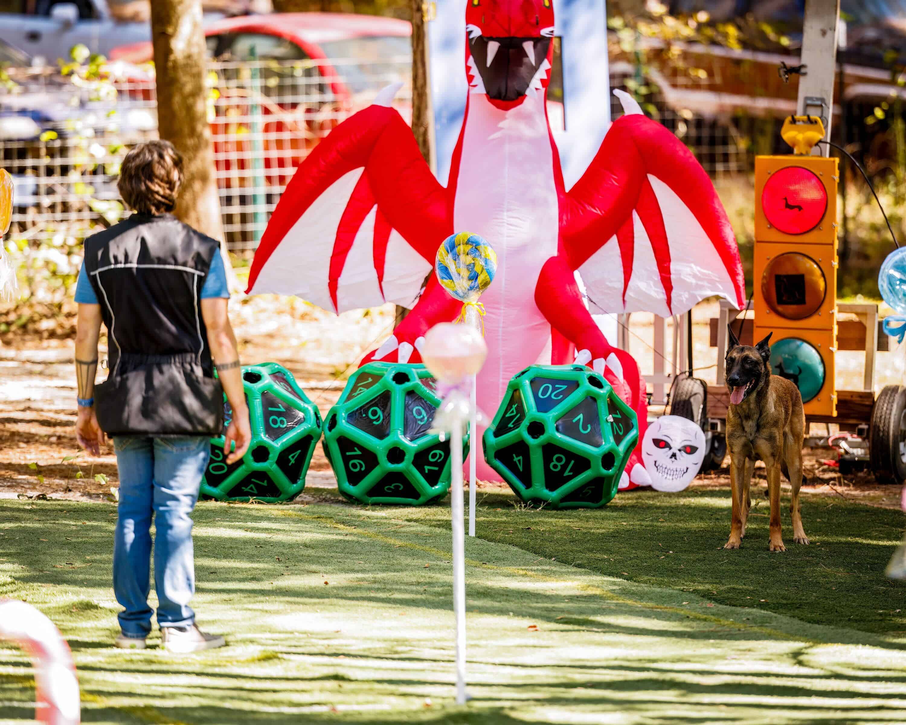 Read more about the article When – And How – To Introduce Distractions To Your Dog’s Training