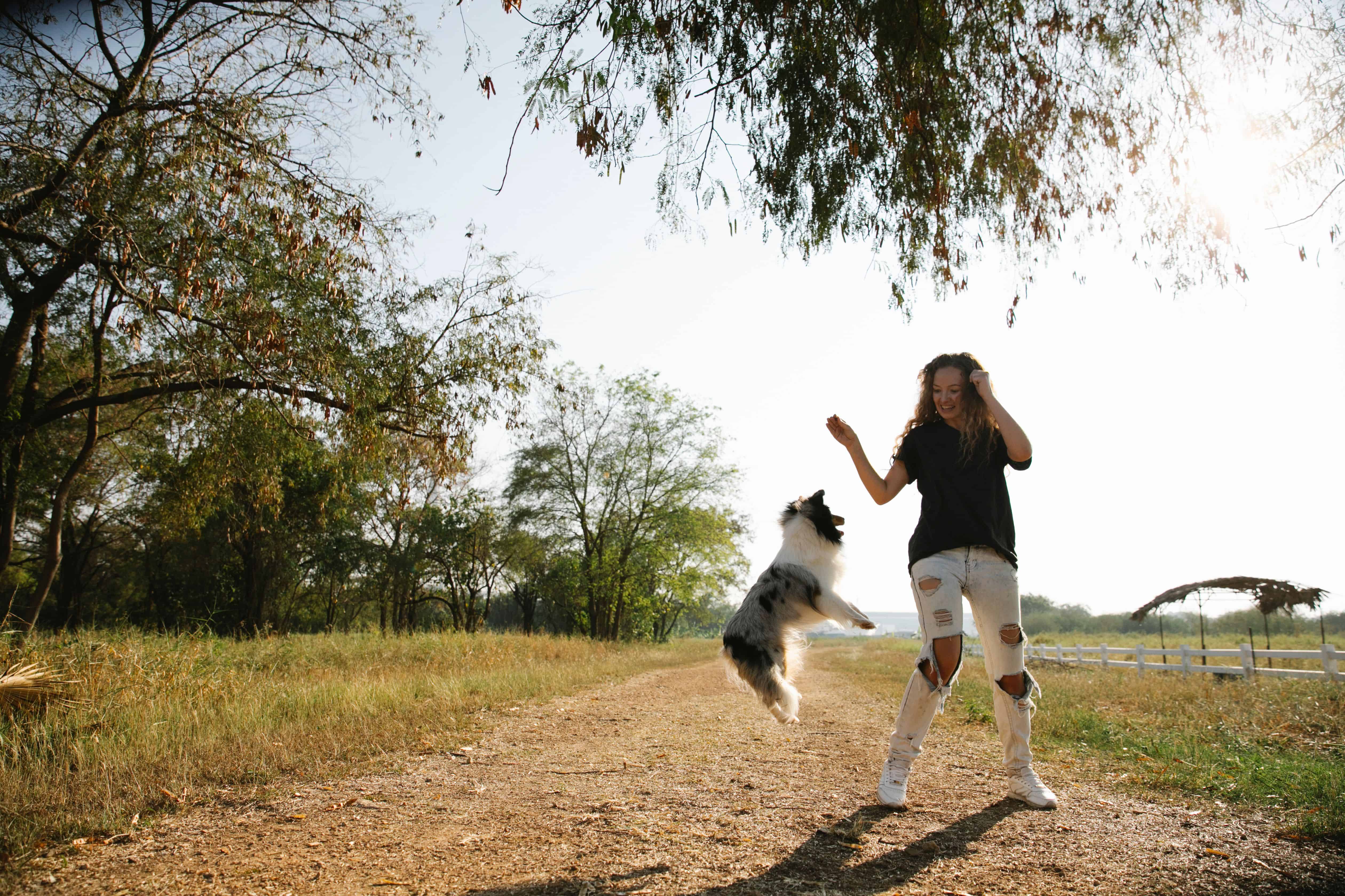 Read more about the article Why Your Dog Jumps On Guests (And How To Stop It)